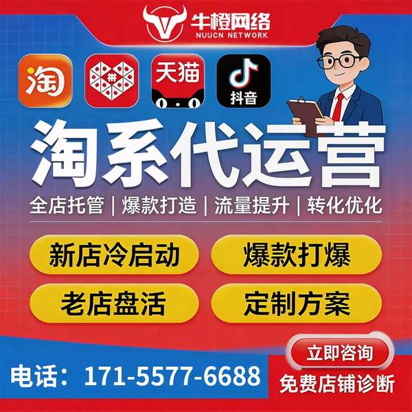 芜湖电商代运营