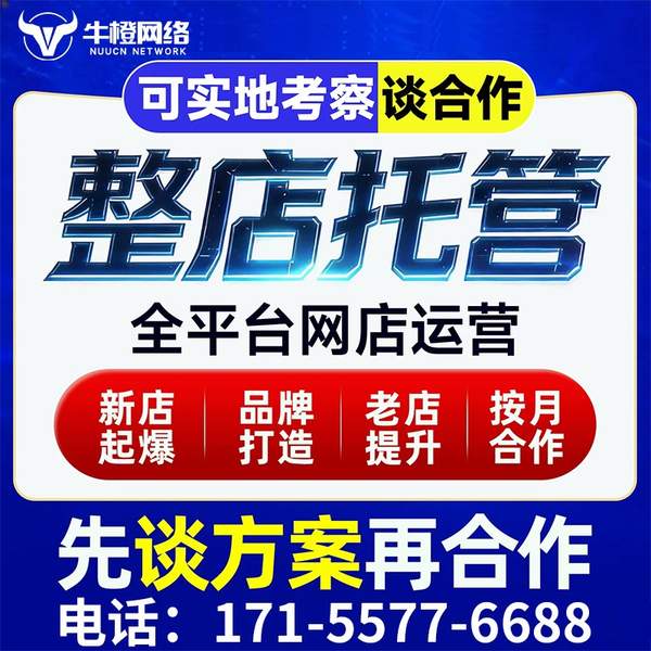 芜湖电商代运营