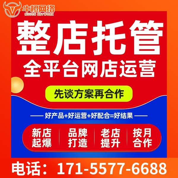 芜湖电商代运营