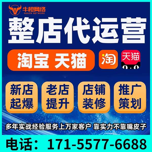 芜湖电商代运营