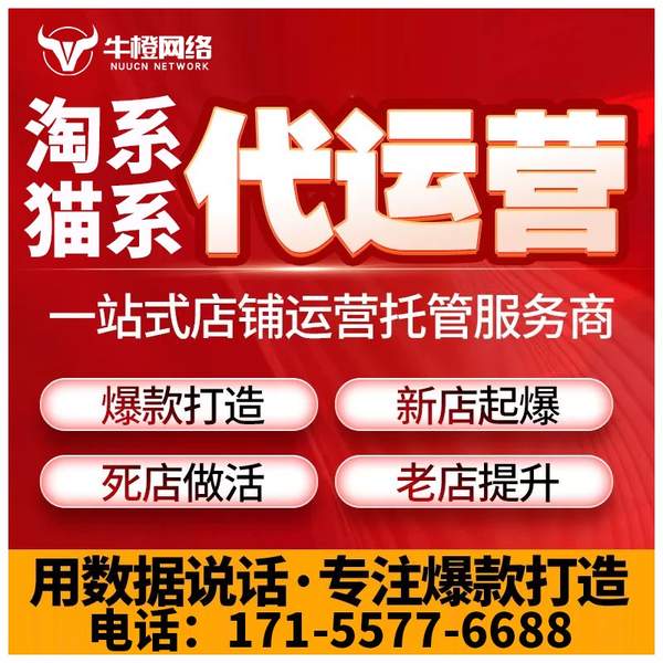 芜湖电商代运营